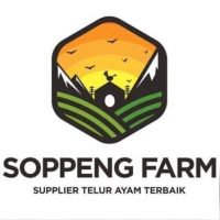 WhatsApp Image 2025-07-25 at 10.07.42 WhatsApp Image 2025-07-25 at 10.07.42